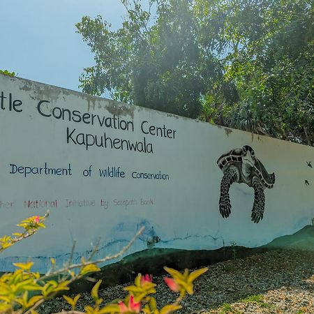 Southern Edge Cabanas Тангалла Экстерьер фото