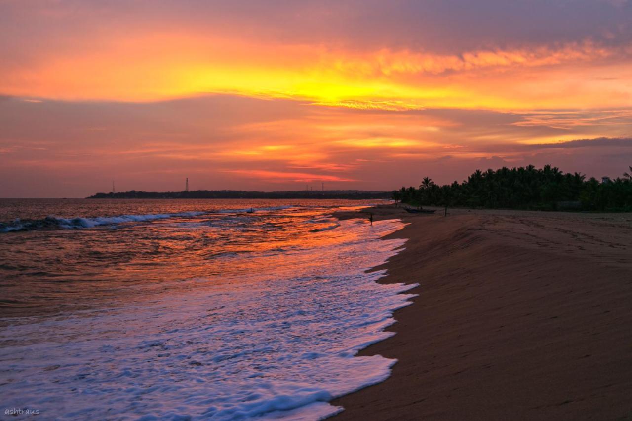 Southern Edge Cabanas Тангалла Экстерьер фото