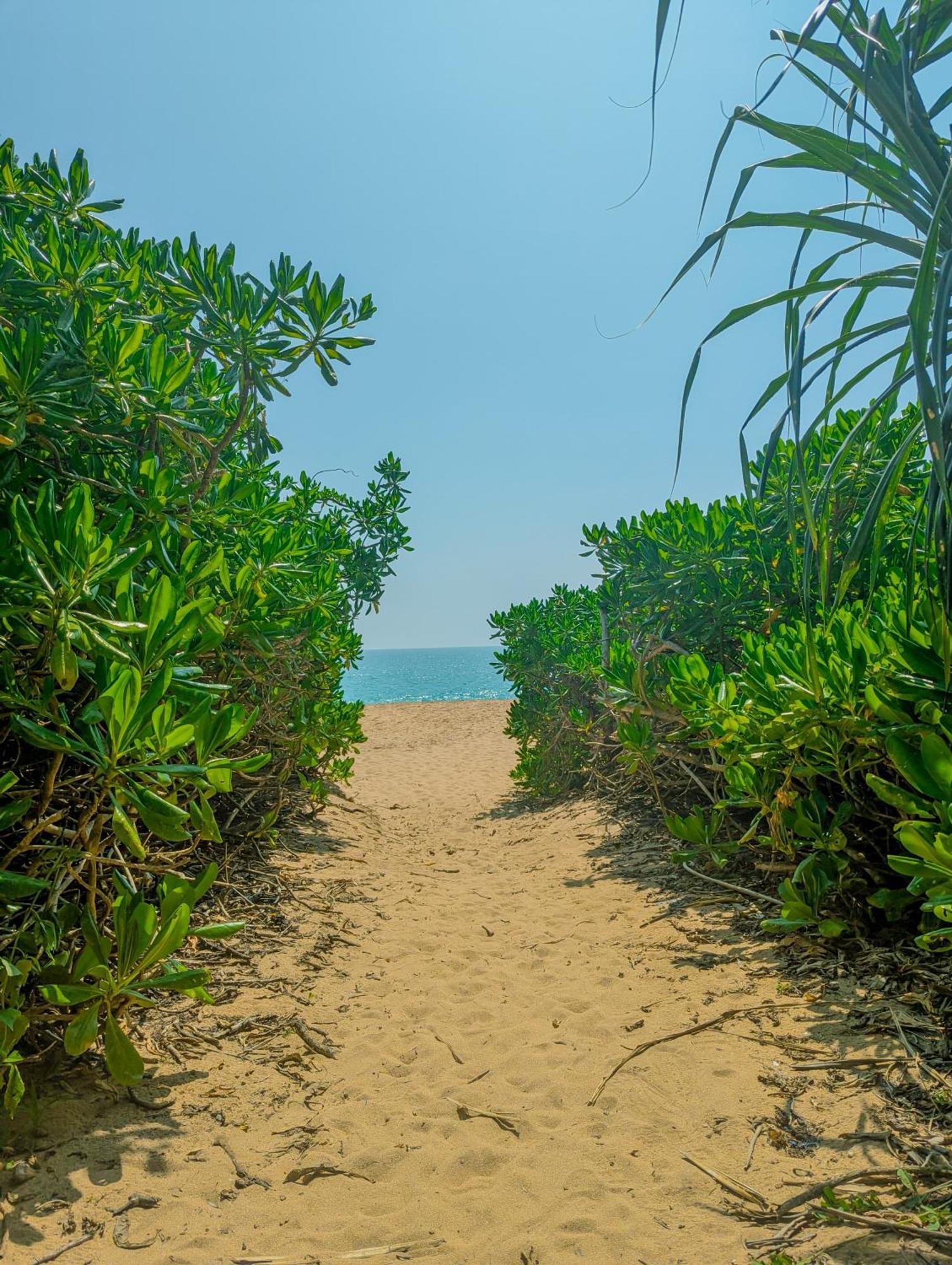 Southern Edge Cabanas Тангалла Экстерьер фото