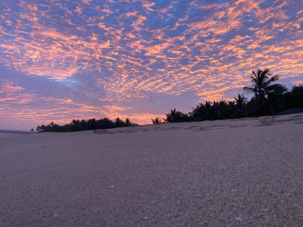 Southern Edge Cabanas Тангалла Экстерьер фото